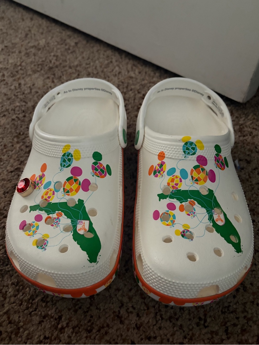 Walt Disneyworld Epcot Crocs